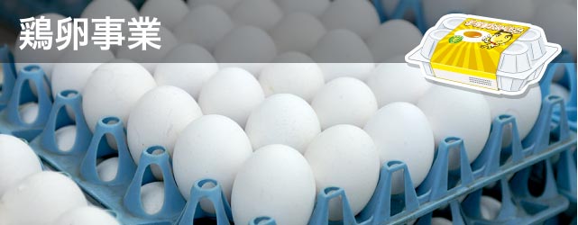 鶏卵事業