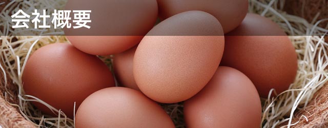 会社概要