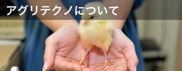 アグリテクノについて