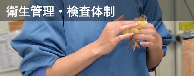 衛生管理・検査体制